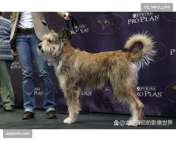 针对球员的种族歧视口号引发西班牙足坛广泛争议